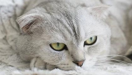 九游游戏-意甲天气影响比赛，足球也有“天气”因素，意甲日程