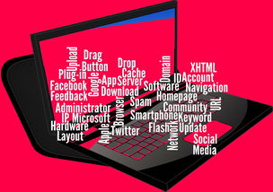 九游电脑版-CBA开展球员社交媒体管理课程提高职业素养，运动员社交媒体